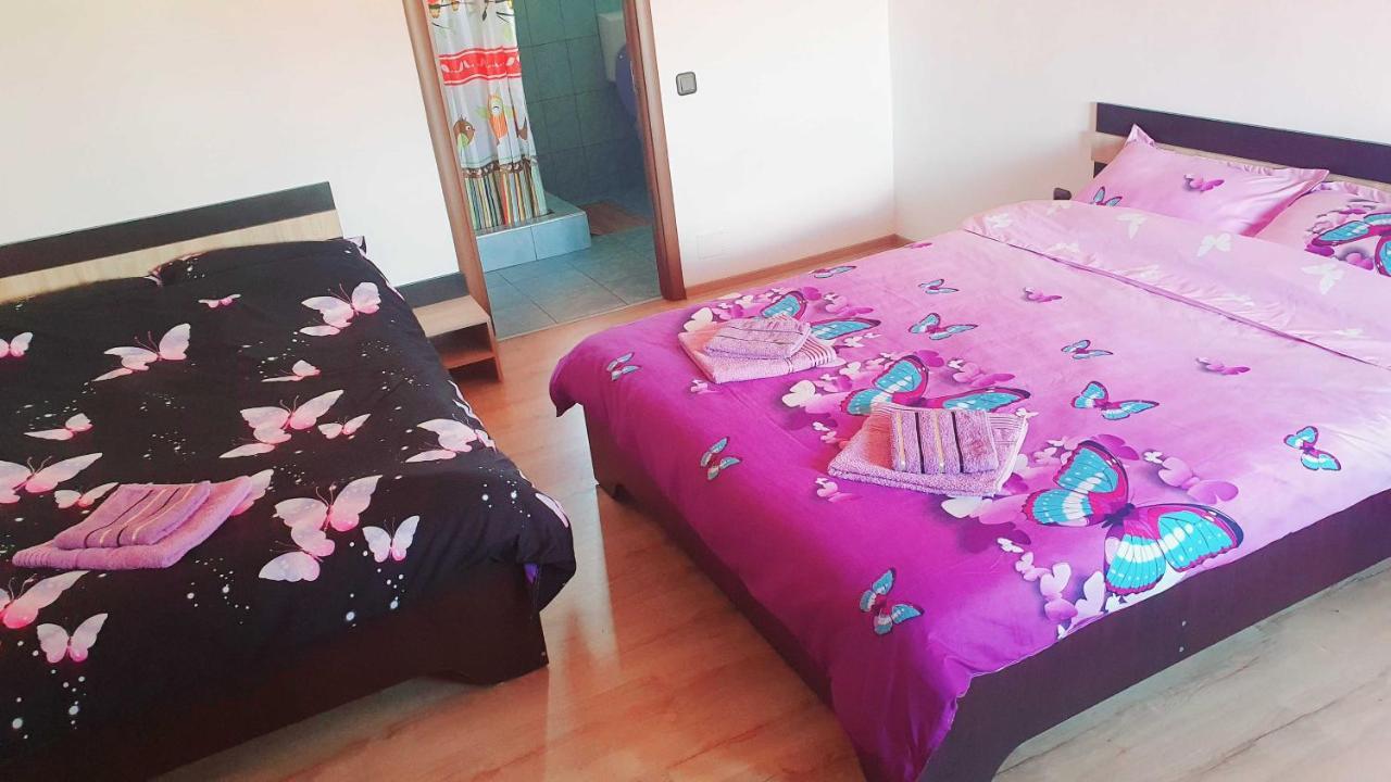Appartement Vila Karina à Carta  Extérieur photo