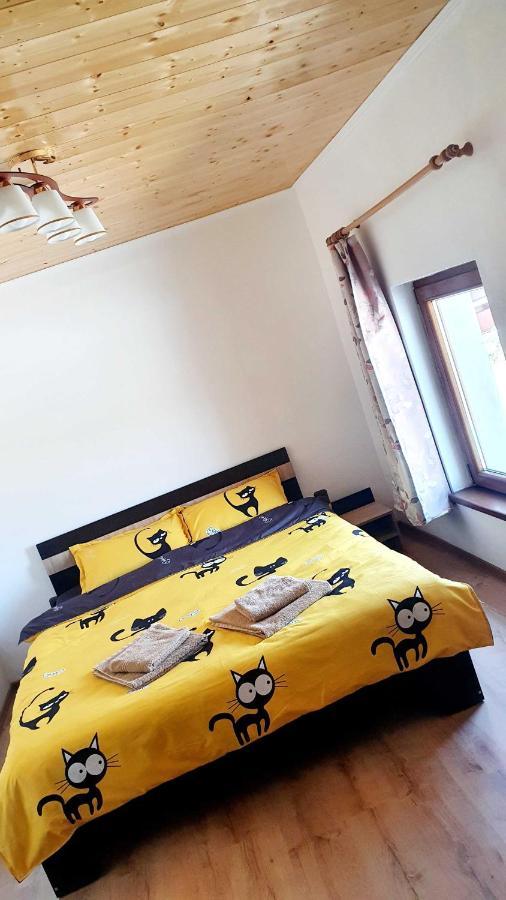 Appartement Vila Karina à Carta  Extérieur photo